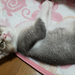 大切に育ててください③