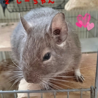 【ありがとうございました】 