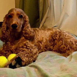 元気いっぱい『れおん』です☆