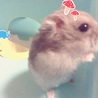 の写真