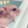 の写真