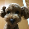 の写真