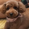 キュン