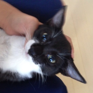 5月5日産まれの元気な男の子です