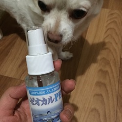 「歯石を溶かす⁈」サムネイル1