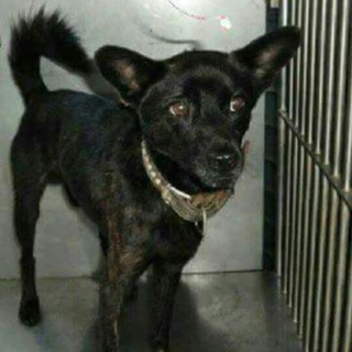 もう時間がありません。この子の命を救ってください。