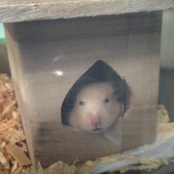 「ようこそ 我が家に…。新しい家族❗️」サムネイル1