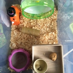 「ようこそ 我が家に…。新しい家族❗️」サムネイル3