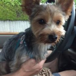 「面談へ..」サムネイル2