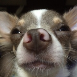 「怖いなら、隠れればいいのに…」サムネイル1