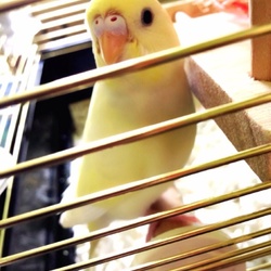 37日目、涼しくなってますます元気