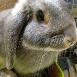 「生後5ヶ月を無事にすぎました。もうすぐ成長期終わり」サムネイル1