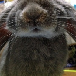 「生後5ヶ月を無事にすぎました。もうすぐ成長期終わり」サムネイル3