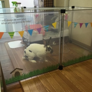 たくさんのご応募ありがとうございました。