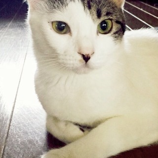 性格花マル！穏やかな女の子