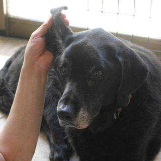 穏やかなラブの『縁（えに）』です☆