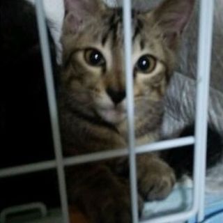 よろしくお願いいたします