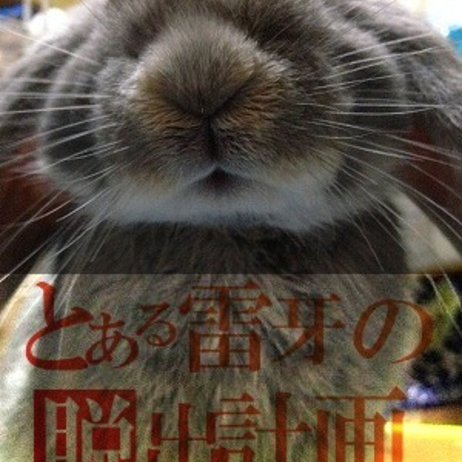 雷牙（らいが）のカバー写真