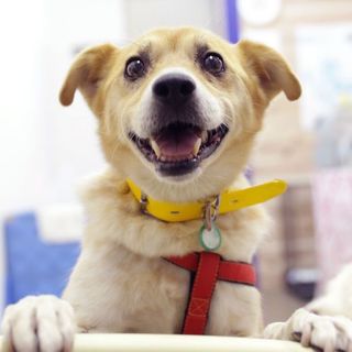 ライ、元気満点の子