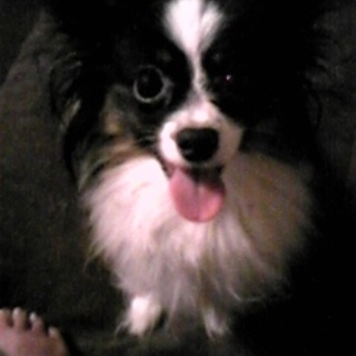 よろしくお願いします。