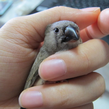 当時からにぎられるのが好き