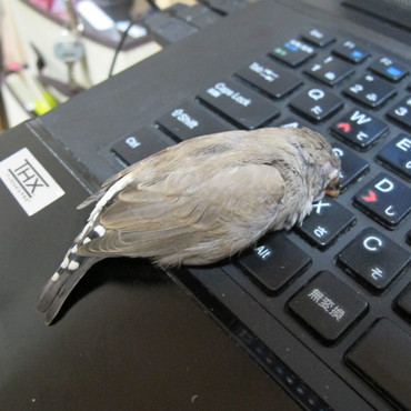 そのまま手をどけるとたいへんなことに。。