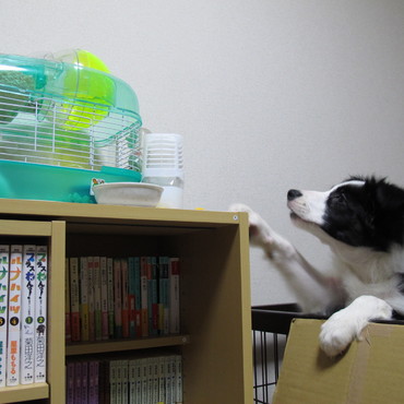 隣人にご挨拶したらものすごくビビられた