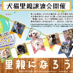 9月6日恵比寿で譲渡会開催！！