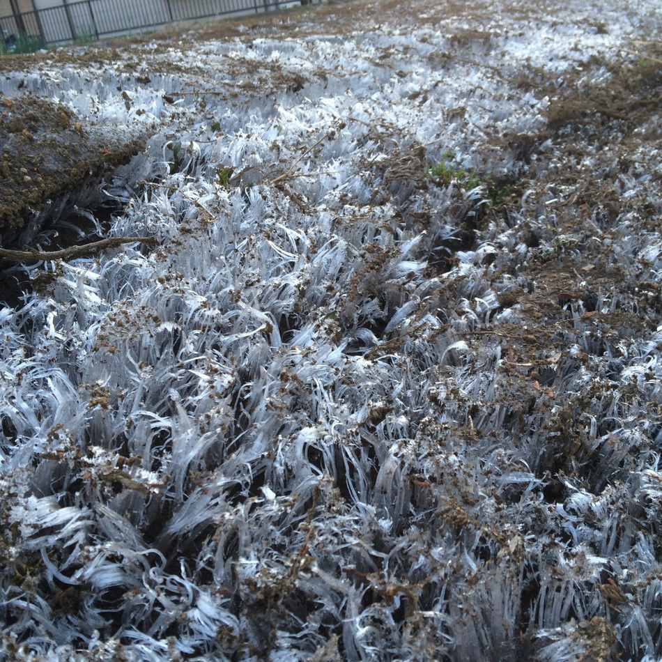 キャメロン・ラビットヒッチのカバー写真