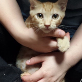 ありがとうございました