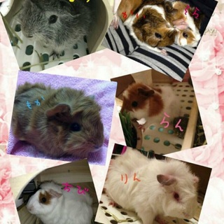 よろしくお願いいたします。