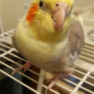 沢山のご応募ありがとうございました