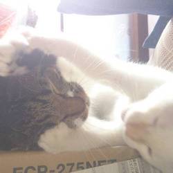 「仲良し？」サムネイル2