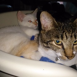 「仲良し？」サムネイル3