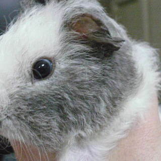 今年２回目になります。（管理番号21）