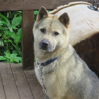 いぶし銀の魅力♡