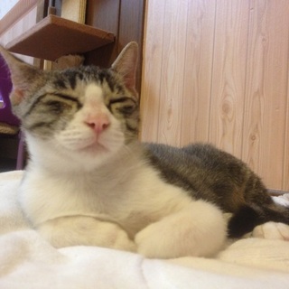 家族ができました！