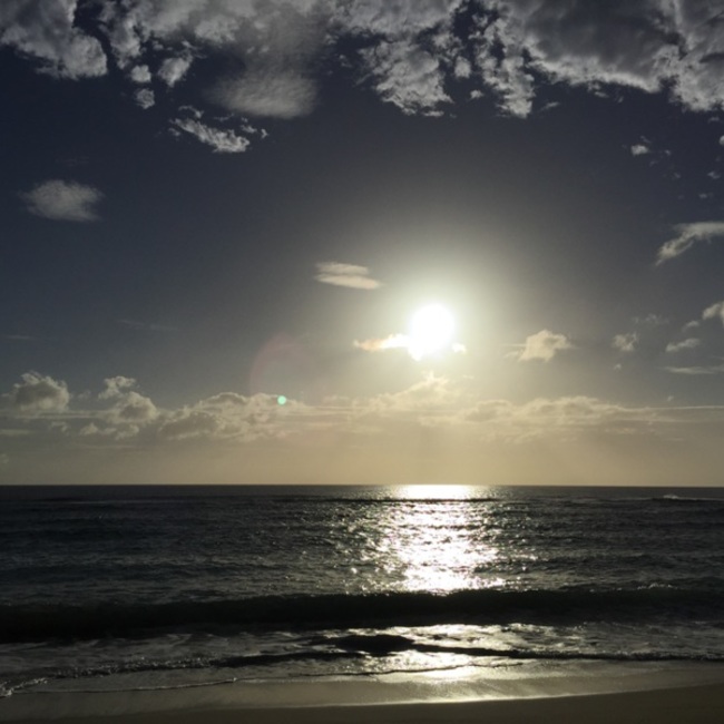 Yuki_Yamamotoのカバー写真