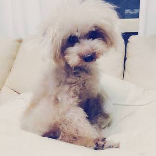 募集再開いたしました！