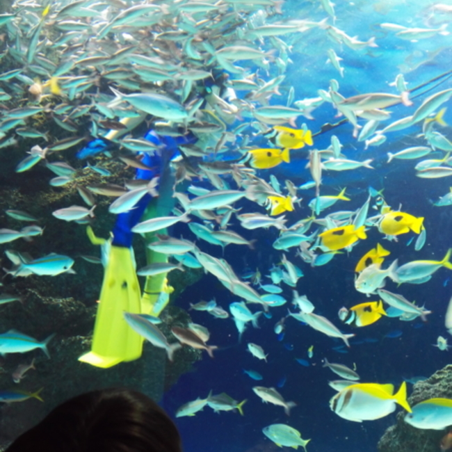 ナチュラのカバー写真