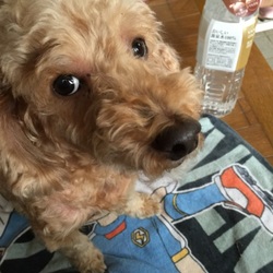 ドライブ！といえば？！