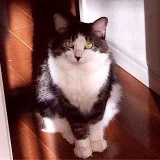 もふもふ美男子♪