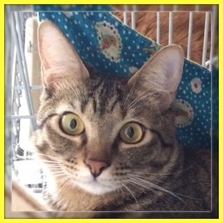 びびり！でもかわいい！