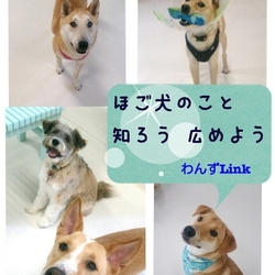 9月5日、6日、23日　わんずKids見学会・交流会