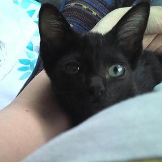 生後４ヶ月の男の子です!