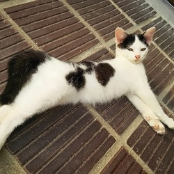 「募集地域、少し拡大」サムネイル2