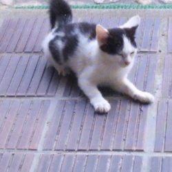 「募集地域、少し拡大」サムネイル3