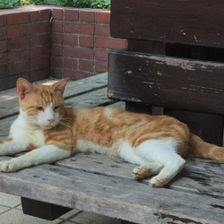 2015/08/28 保護記録