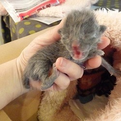 ミルク のんだじょ～～＼(^_^)／  1