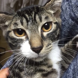 男前❤太郎君、５匹兄妹